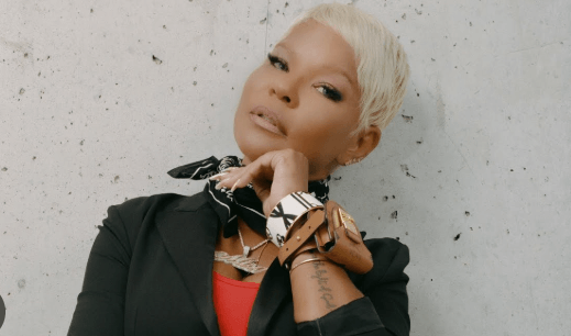 Misa Hylton Net Worth