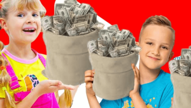 Kid City Net Worth