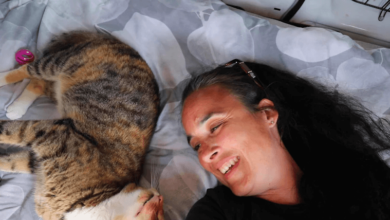 The Cat Lady Van Net Worth