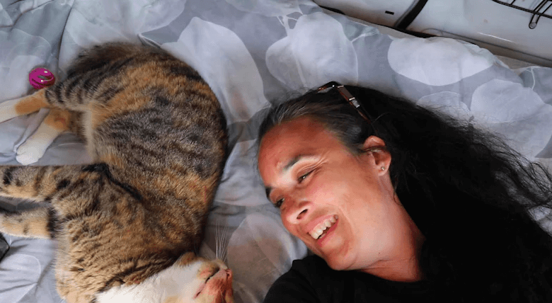 The Cat Lady Van Net Worth